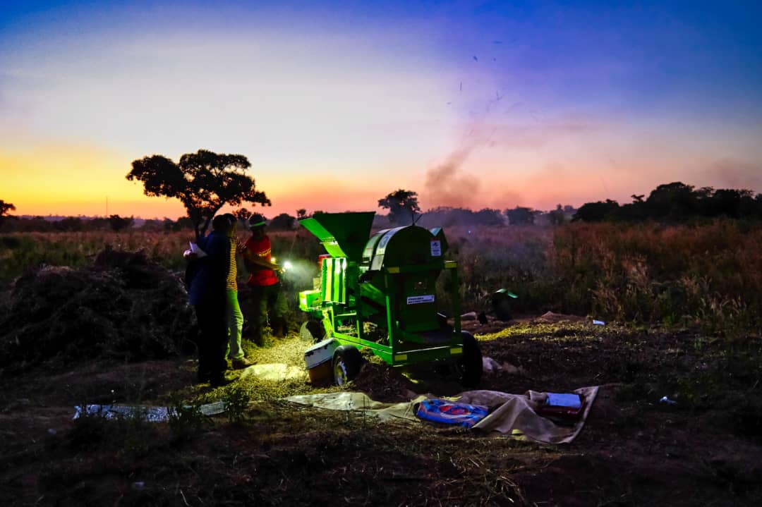 sayetech's tweet image. When others sleep, they still  work ; from dusk till dawn just keep harvest going 

Our threshing service providers go the extra mile, fixing machines in the fading light so farmers don’t lose harvest.

#Sayetech #BuiltForYou #Mechanisation #AgriImpact #GhanaAgriculture