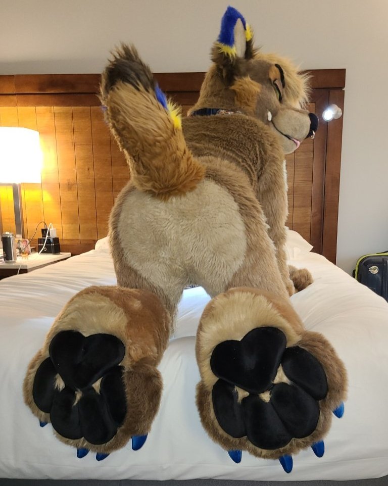Oh I missed #PawDay 
This must not stand...Take THESE 🐾 
<a href="/MadeFurYou/">Made Fur You</a>