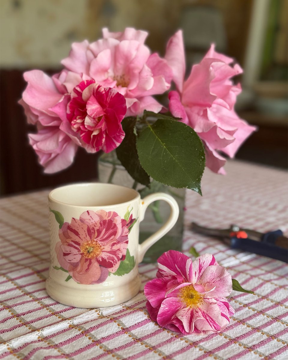 Introducing The King’s Rose ½ Pint Mug 🌹
Made by <a href="/EmmaBridgewater/">Emma Bridgewater</a>, this mug features a design by Matthew Rice of The King’s Rose™, a new English Shrub Rose bred by David Austin that launched at <a href="/The_RHS/">The RHS</a> Chelsea Flower Show this year. 
Buy now: bit.ly/3FmCn2n