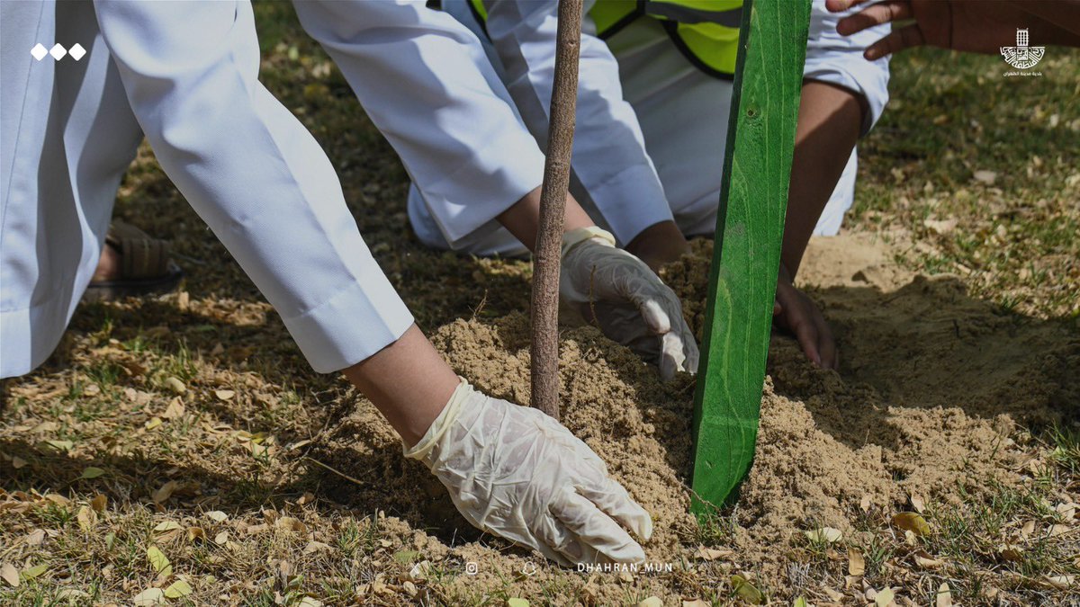 dhahran_mun's tweet photo. ☘️ ||

للمساهمة في زيادة الرقعة الخضراء
 وتقليل الملوثات الضارة بالبيئة، وتوعية 
المجتمع بأهمية حماية البيئة وصيانتها، 
نفذت مبادرة تشجير في حديقة السديم، 
بالتعاون مع مدارس التربية الأهلية . . 

#الظهران_الفاتنة 
#بلدية_مدينة_الظهران https://t.co/rm5YzvW5ZD