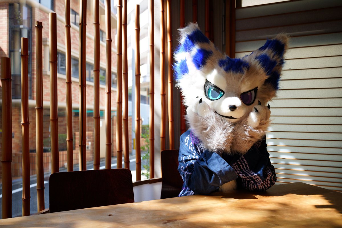 tillrazbio's tweet image. ～自己紹介～
さんにゃ：ティル（カラー：ブルー）、ルツ（カラー：オレンジ）
その他：エマ（カラー：ブラック）
九州を中心に活動しています！
TikTok：tiktok.com/@tillrazbio?_t…
Instagram：instagram.com/tillrutubio/pr…
欲しいものリスト：amazon.jp/hz/wishlist/ls…