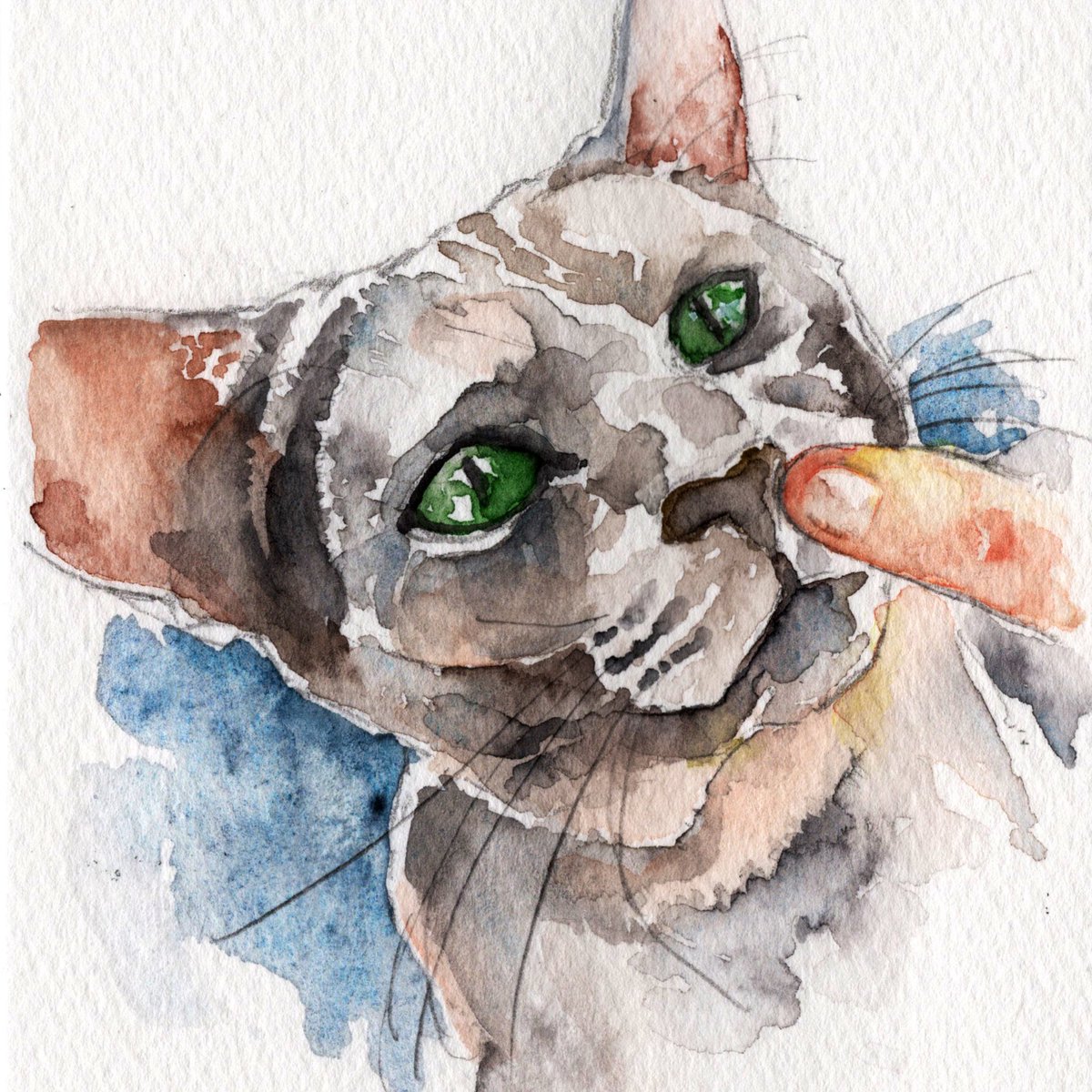Guratan_0917's tweet photo. 水彩練習🖌️
#絵描きさんと繋がりたい 
#透明水彩 
#動物イラスト
#アナログ絵
#水彩画 https://t.co/PBQcc2Udcn