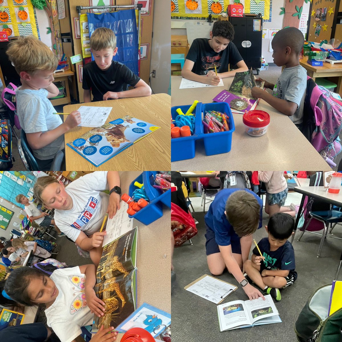 classofMrsSine's tweet photo. On Mon, we got to work with @Miss_Sullivan12 ‘s class to research our animals! This week our friends are learning everything there is to learn by making a book &amp; painting a pic of them. 🐢🐍🐡🦩🦚🦁🐒🦉🐬🐊🐆🦒🐘🦘🐼🦦@OliveChapelElem @ErinKelleyMay @jmboyer @AshleyPCharles https://t.co/vHvDc5I0NT