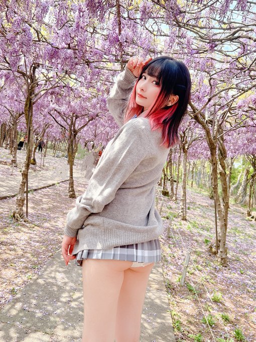 コスプレイヤーモモのTwitter画像11