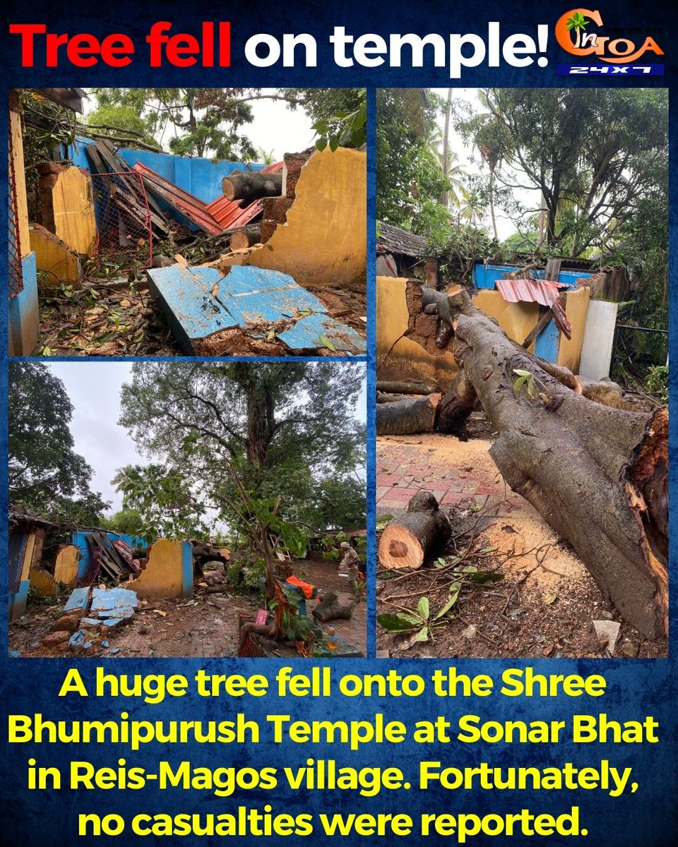 InGoa24x7's tweet image. Tree fell on temple! A huge tree fell onto the Shree Bhumipurush Temple at Sonar Bhat in Reis-Magos village. Fortunately, no casualties were reported.

#goa #goanews #treefell #temple