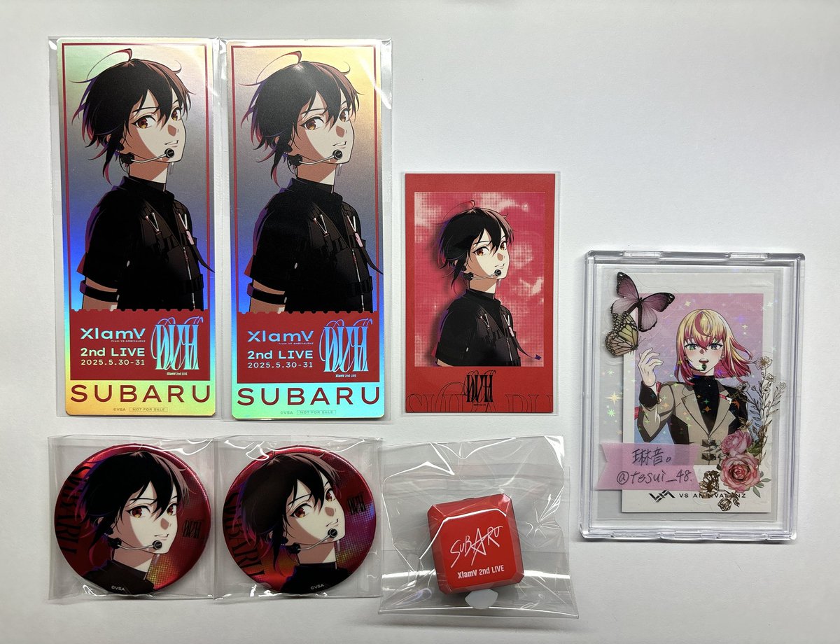 交換】VS AMBIVALENZ XlamV 2nd LIVE DUH ビバレン クランヴ 缶バッジ