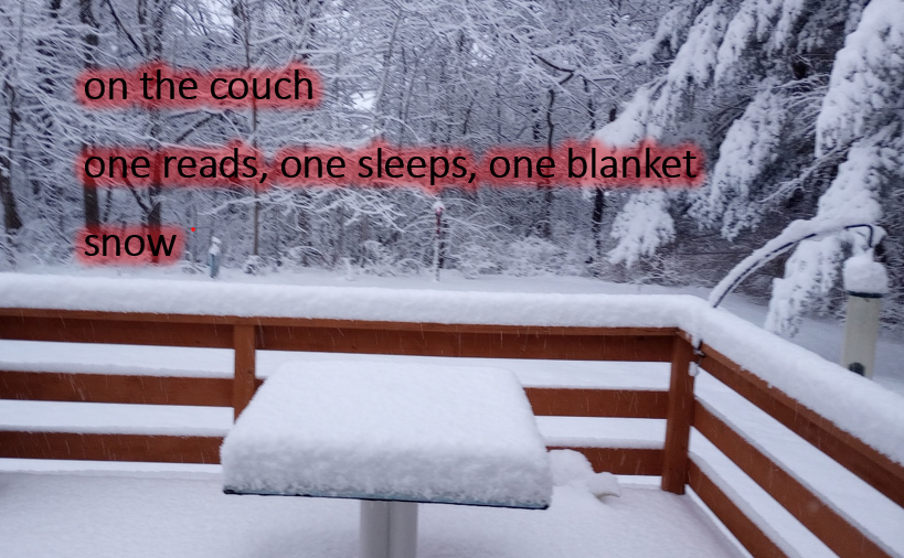 Here's a haiku I got published in the Spring/Summer 2025 issue of the Akitsu Quarterly journal:

on the couch
one reads, one sleeps, one blanket
snow