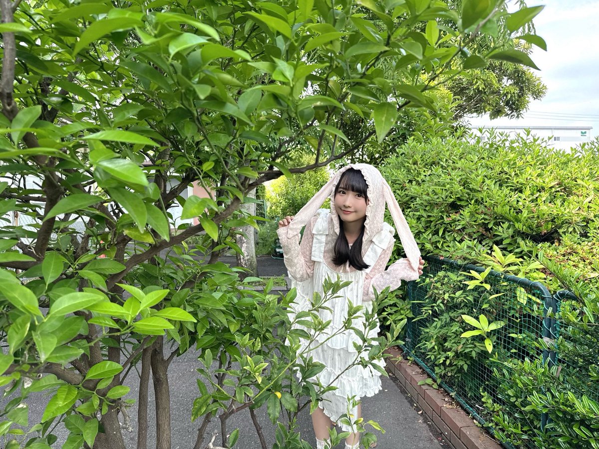 あ！みつかった？🐇