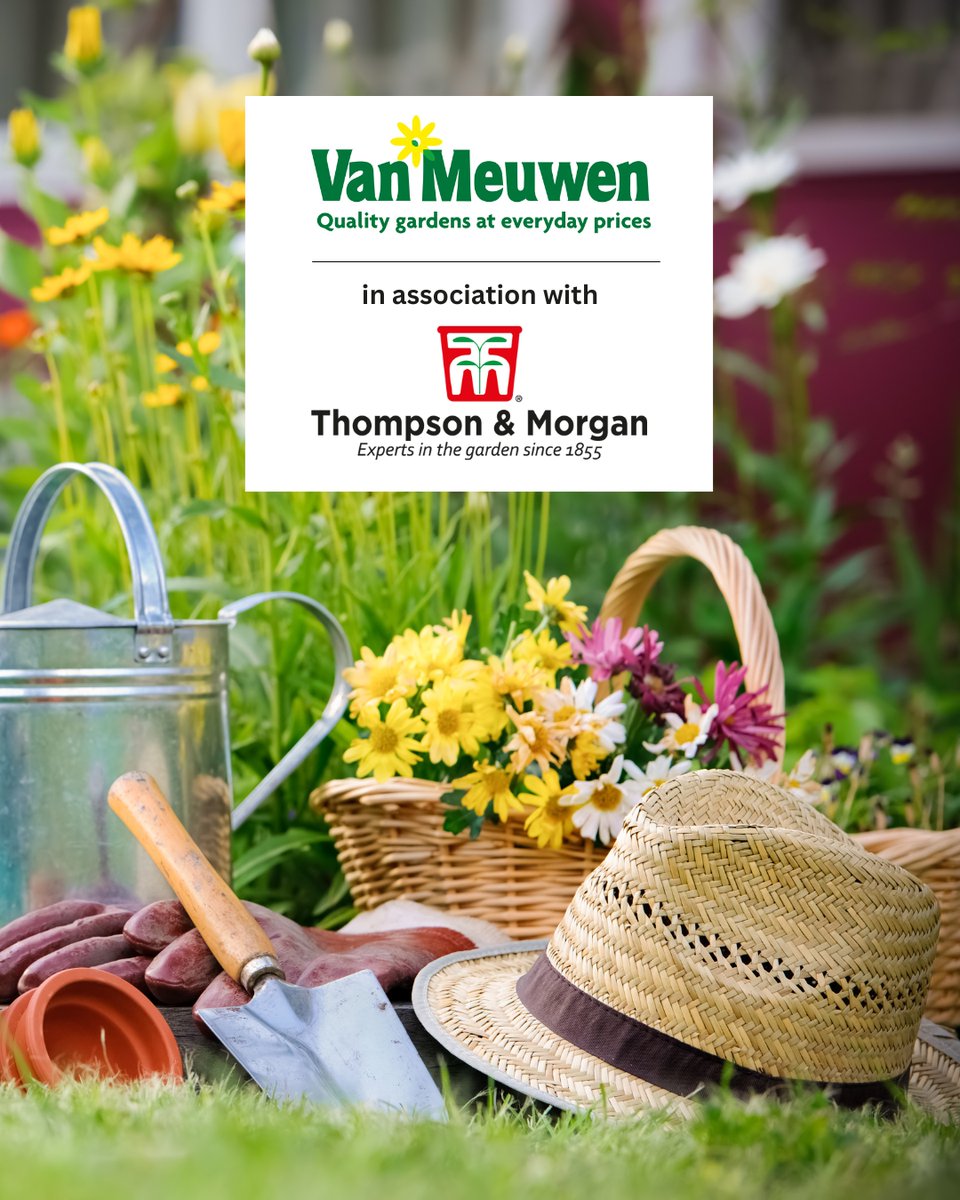 VanMeuwen's tweet photo. We’re pleased to announce that over the next few months Van Meuwen will be merging with Thompson &amp; Morgan! 
👉 Why not visit our Thompson &amp; Morgan page and give us a follow: https://t.co/yTUK3MvaMd
And don’t forget to explore our full range at https://t.co/5nhx9vJnlN https://t.co/ig2SoKh5qK