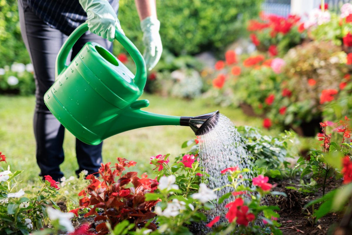 Nu het weer steeds mooier wordt, zitten we vaker in de tuin. Het is dan extra fijn als je tuin groen is. Het kan namelijk van pas komen bij extreem weer zoals hitte, lange droogte of juist veel regen. 

Meer weten over de voordelen van een groene tuin?
duurzaambouwloket.nl/nieuws/groene-…