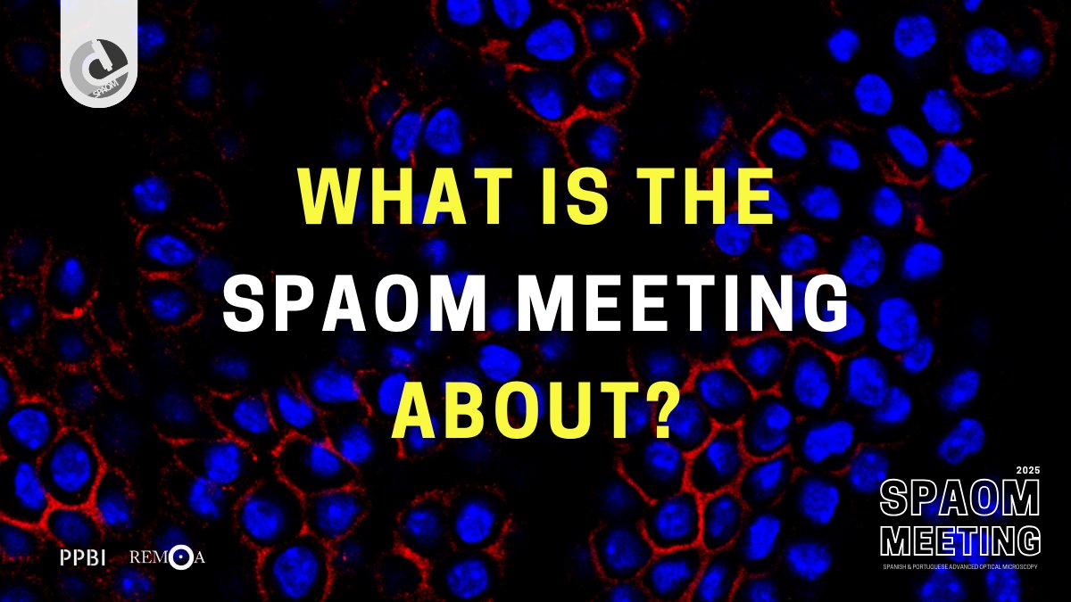 🔬 SPAOM is a 3-day dive into the latest in optical microscopy &amp; image analysis, with applications from 🧠 neuroscience to 🧬 cancer biology.

Bringing together Iberian &amp; European scientists to connect, share &amp; innovate 🤝🌍

#microscopy #imageanalysis #lifesciences #SPAOM