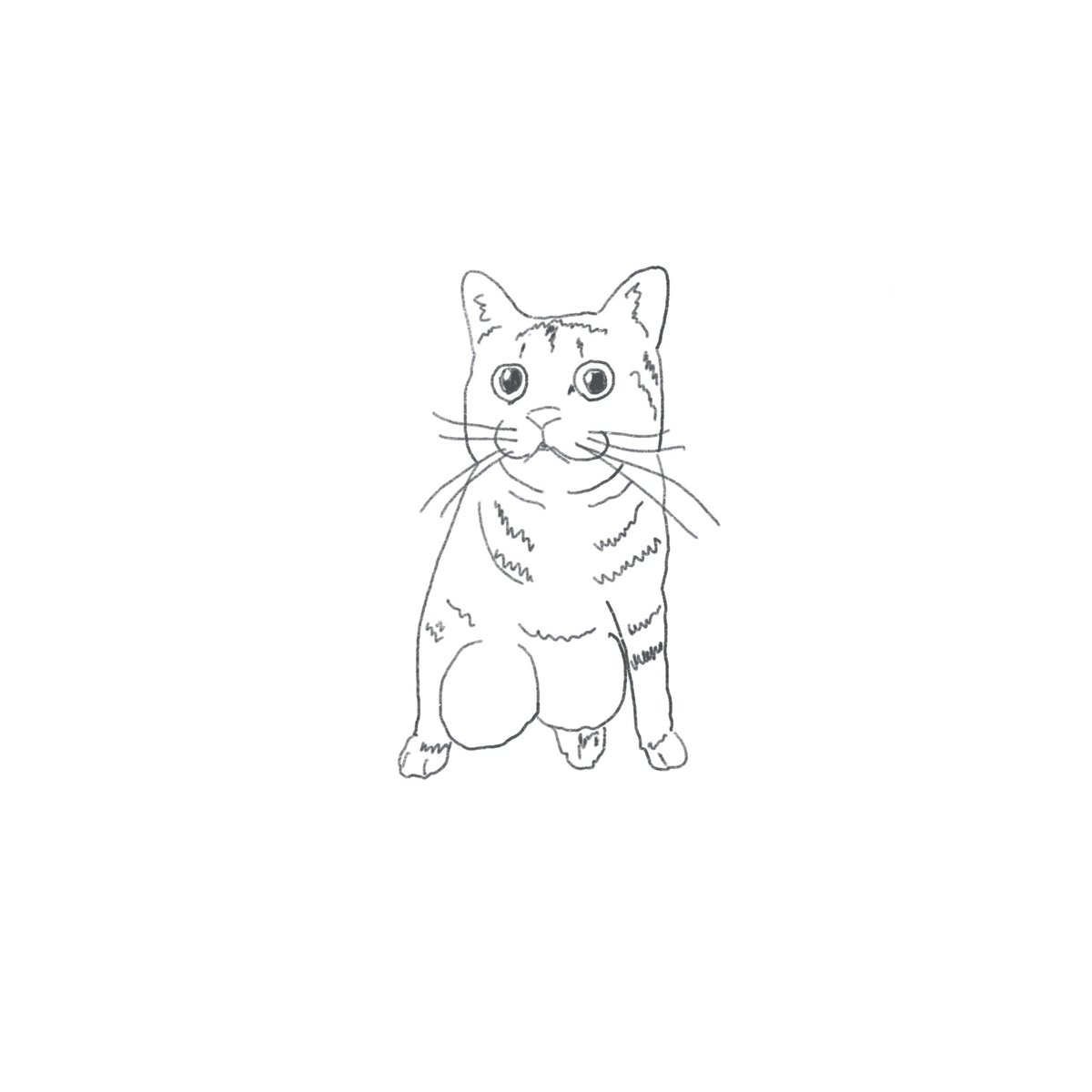 fluffyline_'s tweet photo. https://t.co/Zcu8TJhlWm