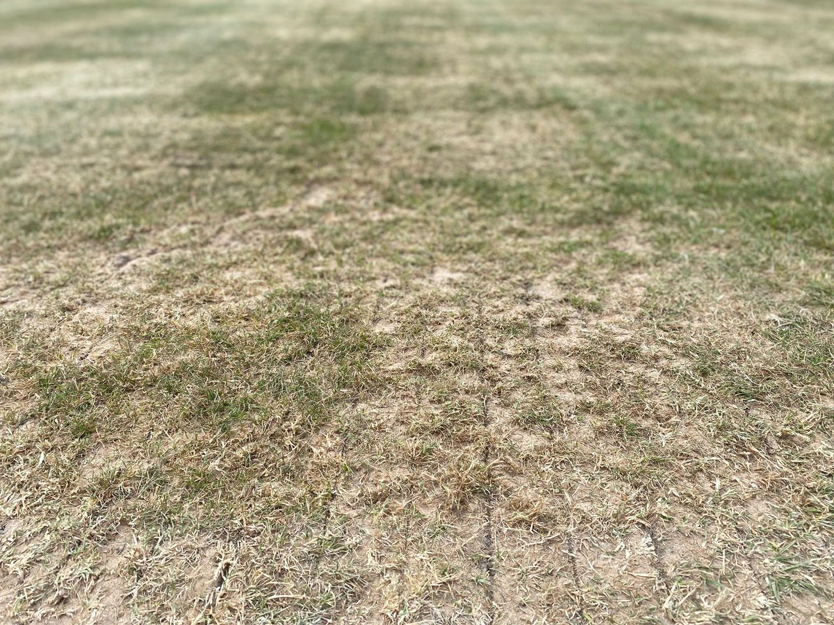 rhylfc's tweet image. ⚫️ Pitch Maintenance ⚪️

As we prepare for life in tier 2, huge thanks to the team at  @360GroundCare for their continued/ongoing support as we strive to continually improve the playing surface at the Hops &amp;amp; Barley Community Stadium.

#tier2 2️⃣ #sunnyrhyl ☀️