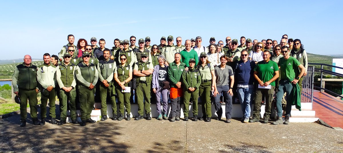 MedioAmbAND's tweet photo. 🦅La @AndaluciaJunta  activa la campaña 2025 del aguilucho cenizo en Andalucía, con una media de 528 parejas reproductoras al año.

💠Más de 70 profesionales se reúnen en Córdoba para iniciar la nueva campaña de conservación de esta rapaz.

🔗https://t.co/CxyRFBFNbU https://t.co/yhL2zAiMpI