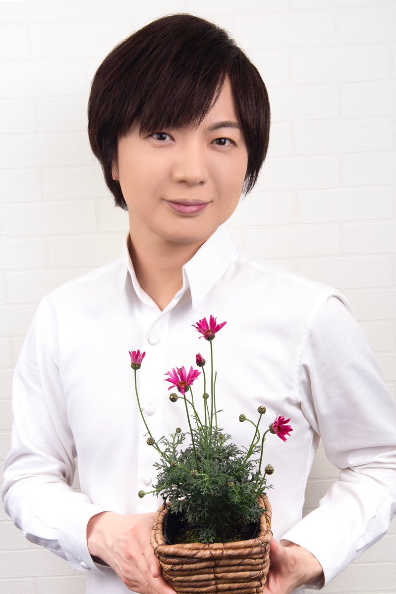 takeshima_staff's tweet photo. "ビジューマム・ガーネット"

　　　　花言葉は

　「宝石のような美しさ」

マーガレットとローダンセマム
を掛け合わせた新しい品種です。

明日は #新・BS日本のうた
の公開収録で茨城県へ♪
頑張ります‼️
今日も１日お疲れ様でした。
#ひろネット #絆 #花 #花言葉 #花便り #茨城県 #ひたちなか市 https://t.co/dMPLvwQfIN