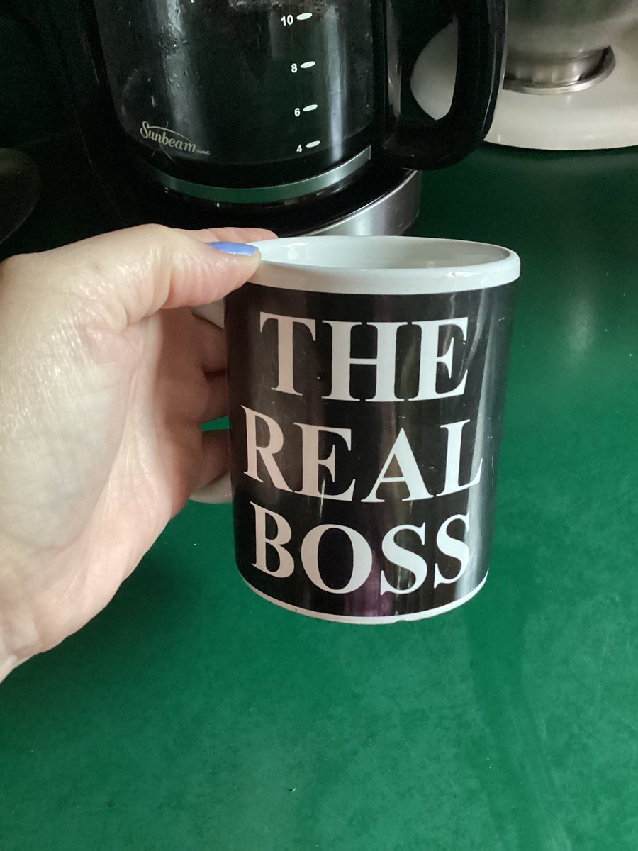 KnitwitsLisa's tweet photo. @RepJackKimble I don’t know what she’s going on about…I’m the real boss! My mug says so 🤣🤣 https://t.co/Fh4StFzYjo