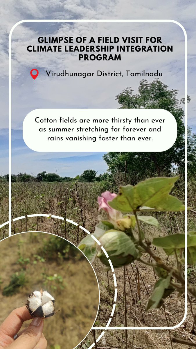 How can #farmers adapt to climate shifts that threaten the very fabric of their harvests?   #ClimateChangeinAction