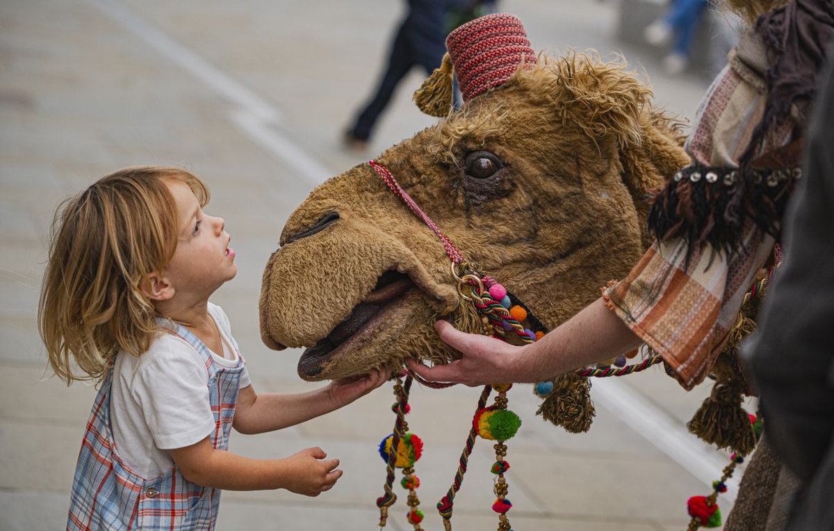 Big Splash Newport tweet media