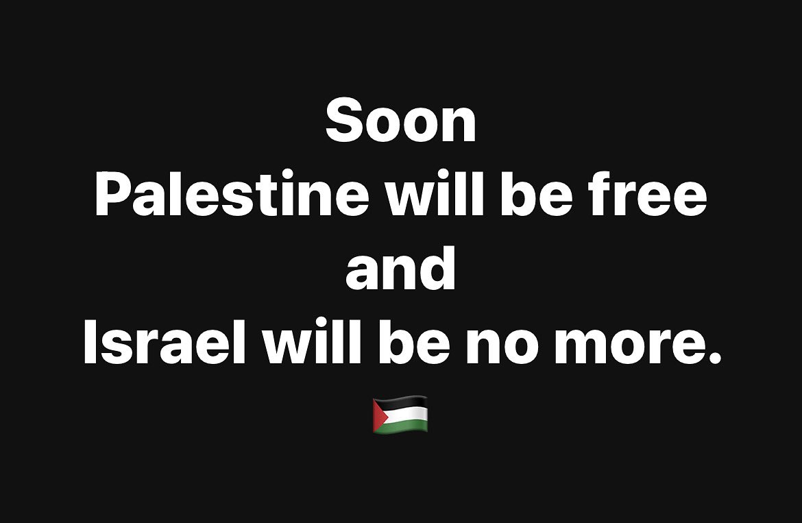 Robert Martin 🇵🇸 tweet media