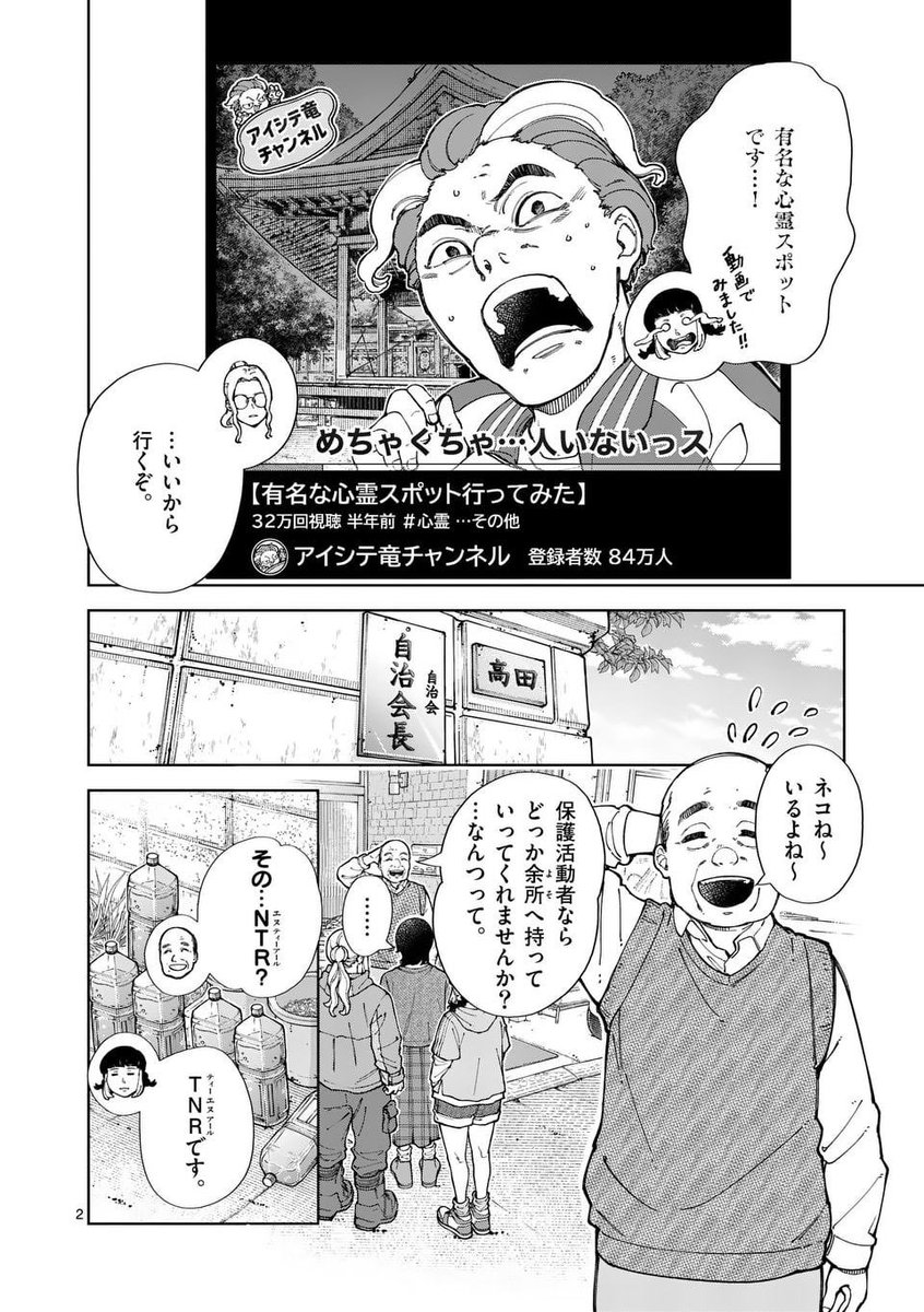 野良ネコが大量繁殖した町……誰のせい?(1/5) 