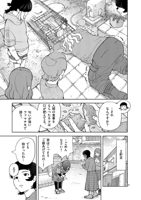 野良ネコが大量繁殖した町……誰のせい?(3/5) 