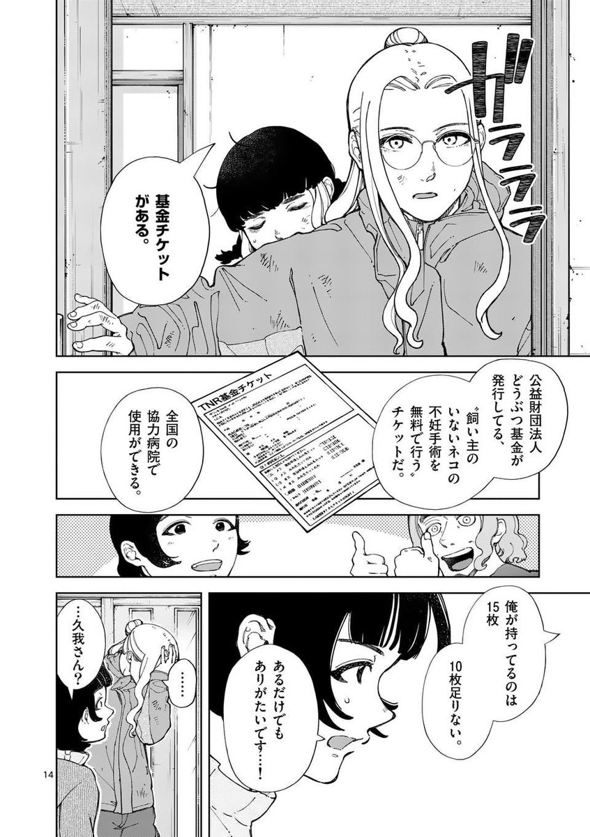 野良ネコが大量繁殖した町……誰のせい?(4/5) 