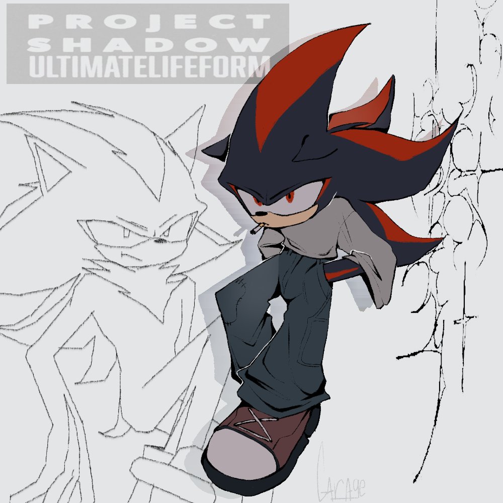 Gladness_Garage's tweet photo. #ShadowTheHedgehog #KnucklesTheEchidna  #SonicTheHedgehog #sonicfanart https://t.co/uu76nFpWa4