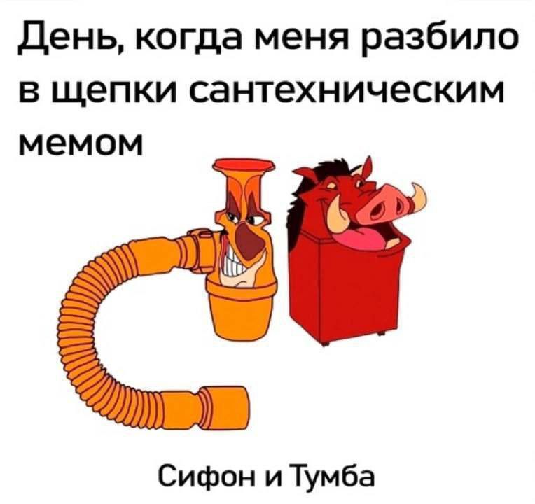 mex_crew's tweet photo. Чайкой верещу https://t.co/Va6y2A1oNx
