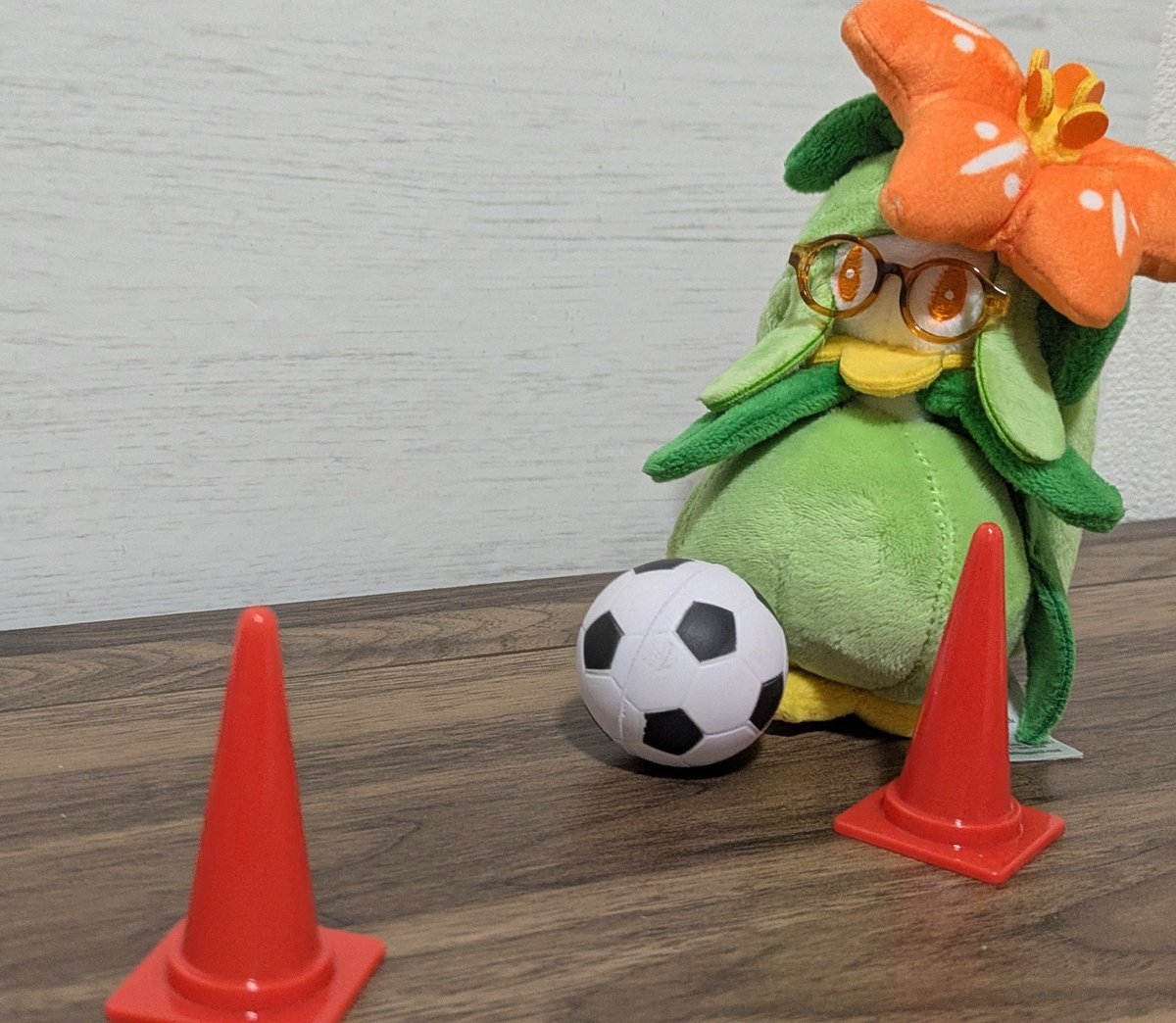 カエデ@ぬい&おしゃべり tweet media