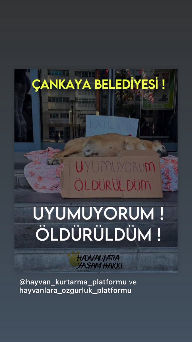 Belman Aydogan (@35belmanaydogan) on Twitter photo <a href="/cankayabelediye/">Çankaya Belediyesi</a>
<a href="/hcanguner/">Hüseyin Can Güner</a>
Size sesleniyor canlar…
Uyumadılar Öldürüldüler!
Bu katliamı Unutmayın!
Çünkü; Biz Unutmayacağız!
<a href="/mansuryavas06/">Mansur Yavaş</a>
<a href="/ankarabbld/">Ankara Büyükşehir</a>
#KatliamYasasınıTanımıyoruz
#SokakHayvanlarıSahipsizDeğil
<a href="/herkesicinCHP/">CHP 🇹🇷</a>
<a href="/eczozgurozel/">Özgür Özel</a>
<a href="/nimetozdemir34/">Nimet Özdemir</a> <a href="/cankayabelediye/">Çankaya Belediyesi</a>
<a href="/hcanguner/">Hüseyin Can Güner</a>
Size sesleniyor canlar…
Uyumadılar Öldürüldüler!
Bu katliamı Unutmayın!
Çünkü; Biz Unutmayacağız!
<a href="/mansuryavas06/">Mansur Yavaş</a>
<a href="/ankarabbld/">Ankara Büyükşehir</a>
#KatliamYasasınıTanımıyoruz
#SokakHayvanlarıSahipsizDeğil
<a href="/herkesicinCHP/">CHP 🇹🇷</a>
<a href="/eczozgurozel/">Özgür Özel</a>
<a href="/nimetozdemir34/">Nimet Özdemir</a>