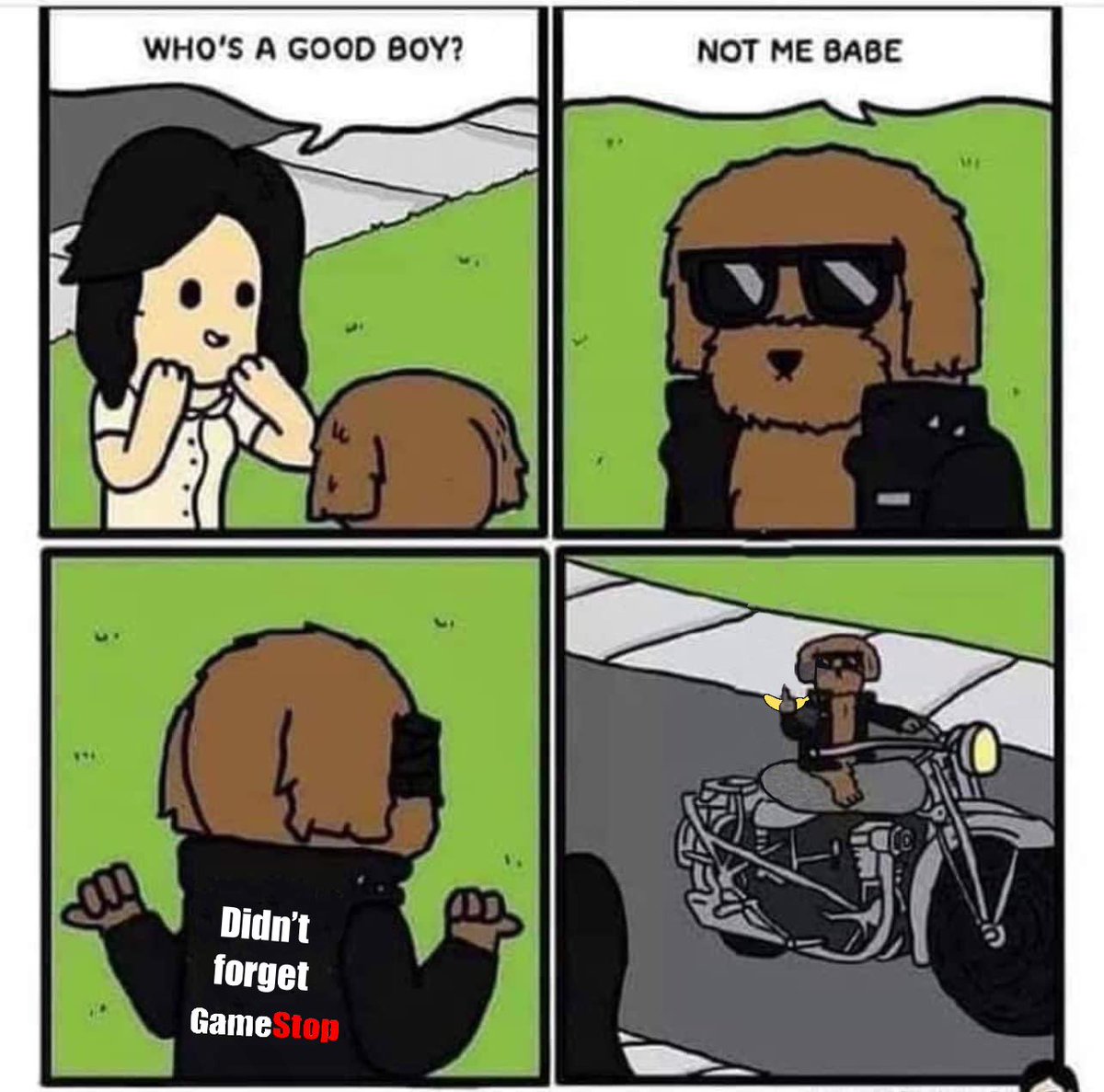 starberryxmoon's tweet photo. Good Morning Everyone.
Everyone loves a bad boy, amirite? 😏
#GameStop
#forgetgamestop
$GME https://t.co/zKG5faax2Q