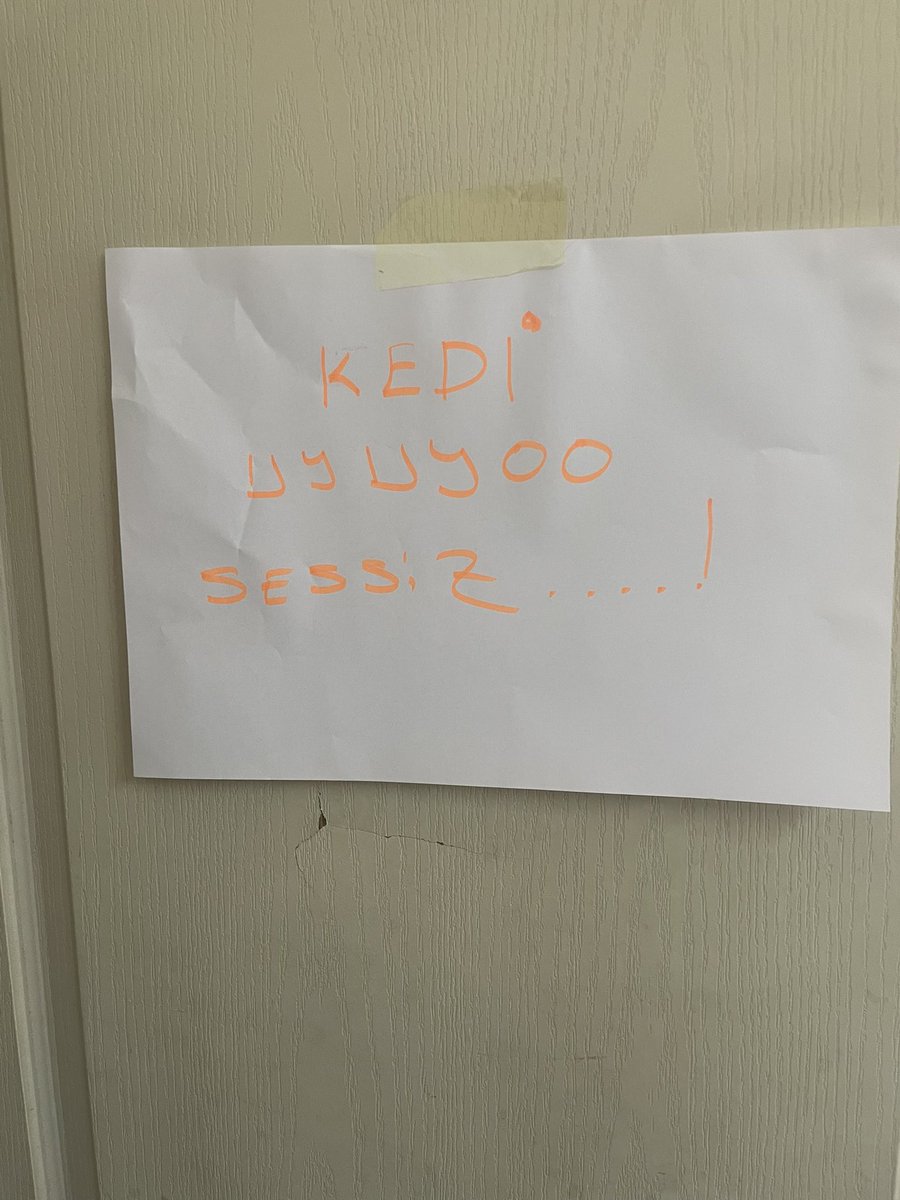 Ulan ofiste düştüğüm hallere bak kedi uyutuyorum iyi mi 😁