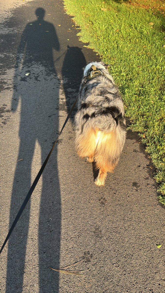 markthemiddle's tweet photo. I was walking the dog this morning like I do most mornings at our local park. The first lap is the dogs smell and poop lap--and then it's my time to run. Routine can be the best or worst thing that changes our lives. Too much or too little screws up the delicate balance of life. https://t.co/2Vm1k6JLph