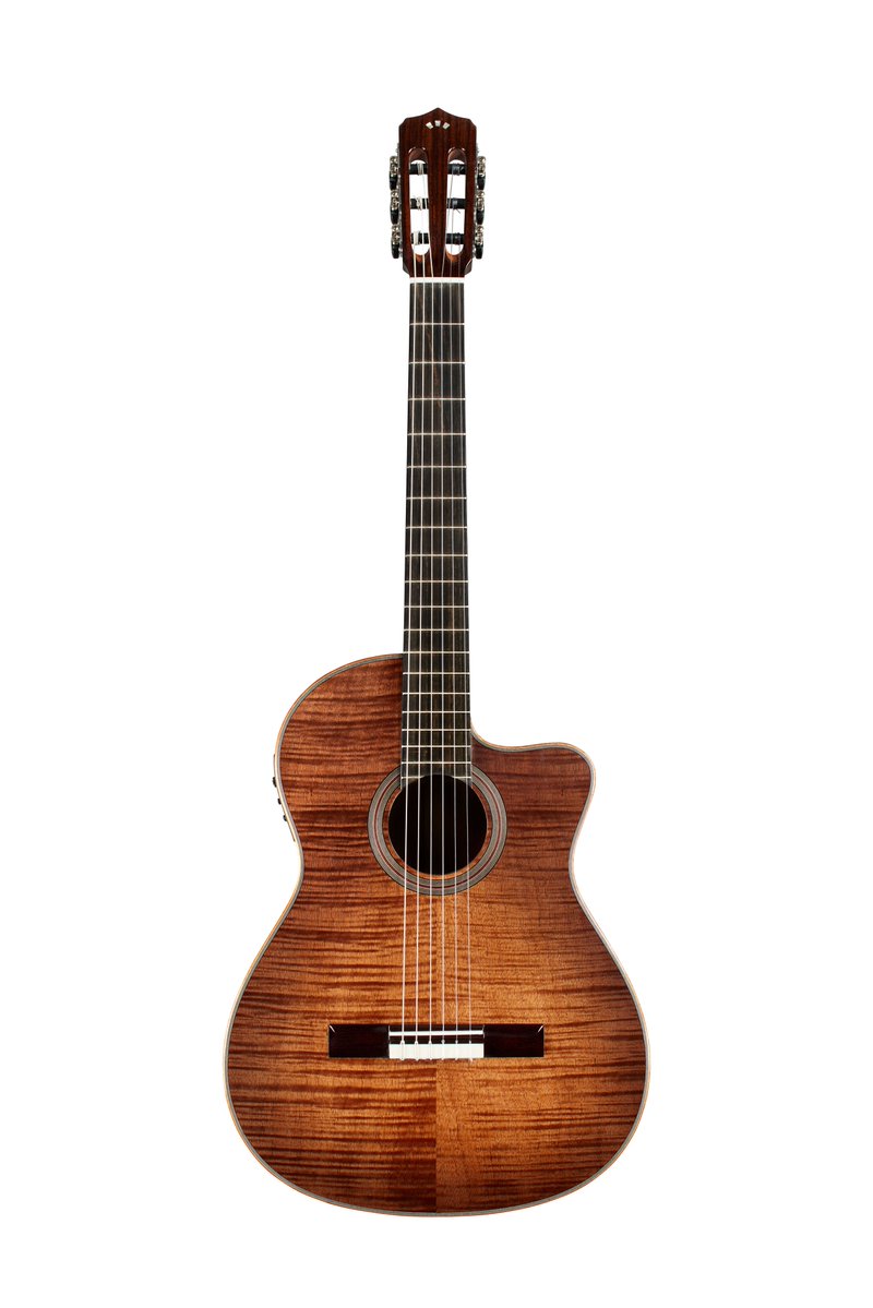 Cordoba コルドバ STAGE GUITAR Natural Amber エレクトリック