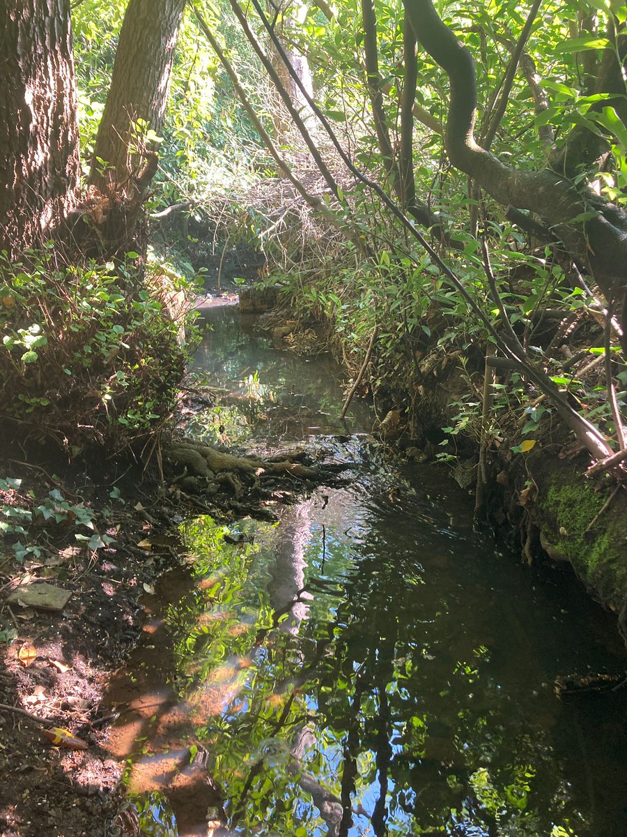 Why do this?😢 #FlyTipping #WasteCrime. The #HollyBrook is a lovely little river running through #Southampton. #WestHantsFieldTeam cleared the rubbish from the river &amp; <a href="/SouthamptonCC/">SouthamptonCC</a> took it away - great teamwork 💪.  Looks good, thank you. #floodaware  <a href="/G_E_Percival/">George Percival 🔶</a>