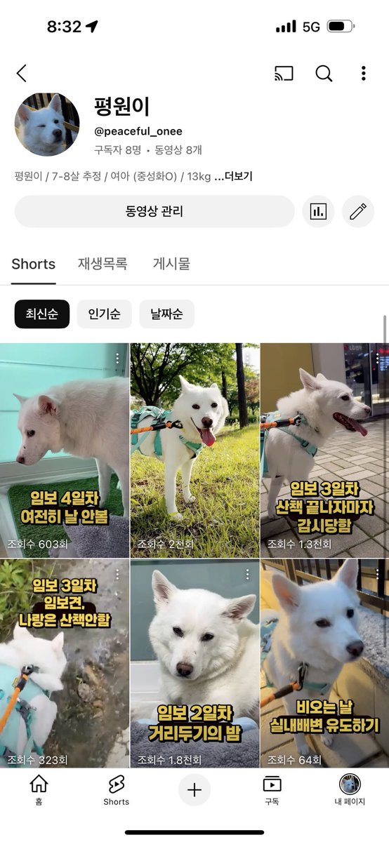 스타로 탄생중인 평원이

영상 업계에서 일하지만,
요즘 번아웃이 올 것 같아서
너무 힘들었는데..

평원이를 만나고
조금 극복이 되는 것 같다.

매일 어떻게하면
평원이를 더 예쁘게 담아서 올릴까
생각뿐

나의 작은 재주가
네가 가족을 만나는데 도움이 되었으면🤍