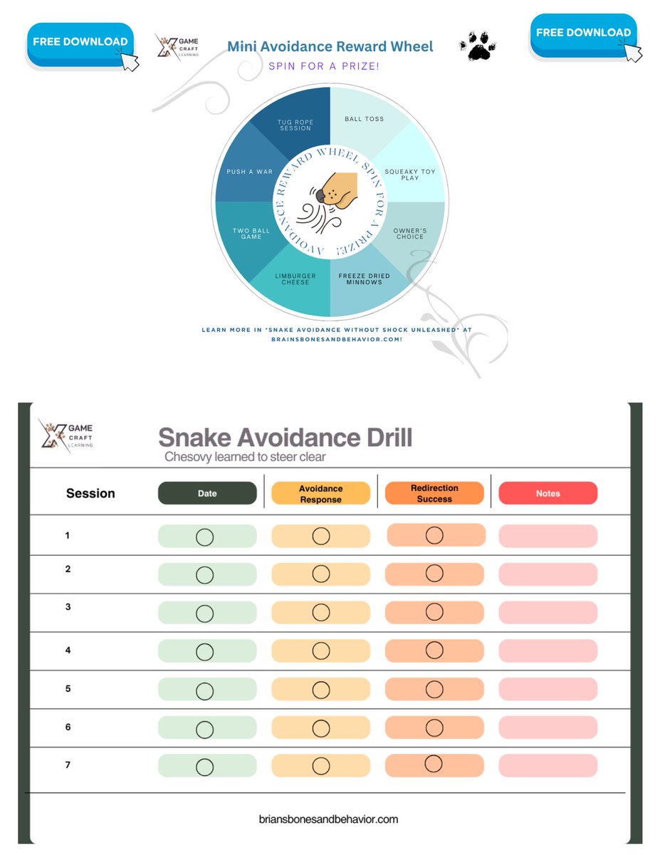 GameCraftJamie's tweet image. Day 4 of #ScentAndSkillsChallenge! Snake Avoidance Drill. Get it: a.co/d/j8JN2L8

Free sampler &amp;amp; wish list for gamecraft app: gamecraftlearning.com/preview/ScentS…

#DogTrainingTips #gamecraftlearning #CanineGameTheory