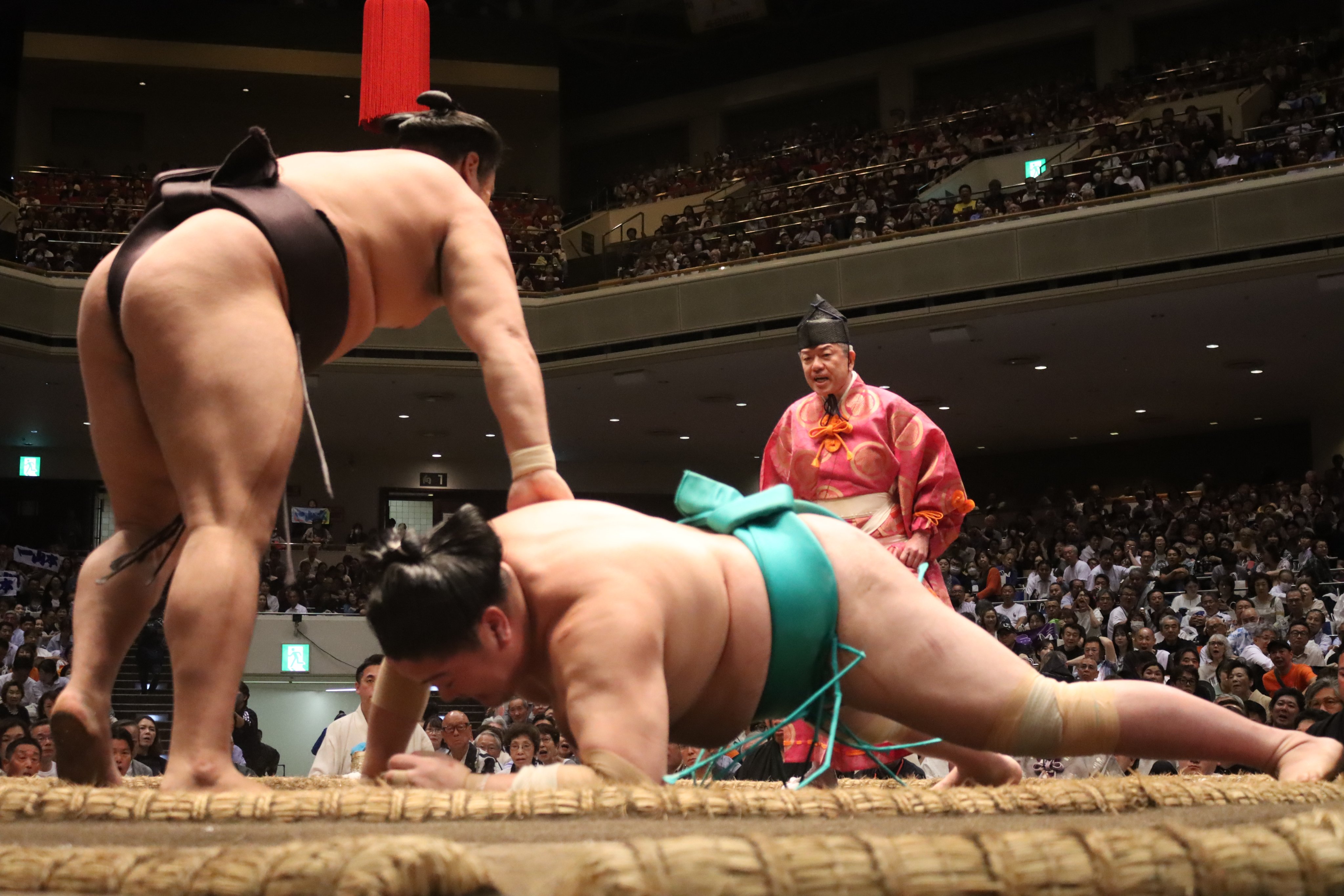 異色の部活”力士!? 園芸部出身の26歳「新関脇」に注目して欲しい