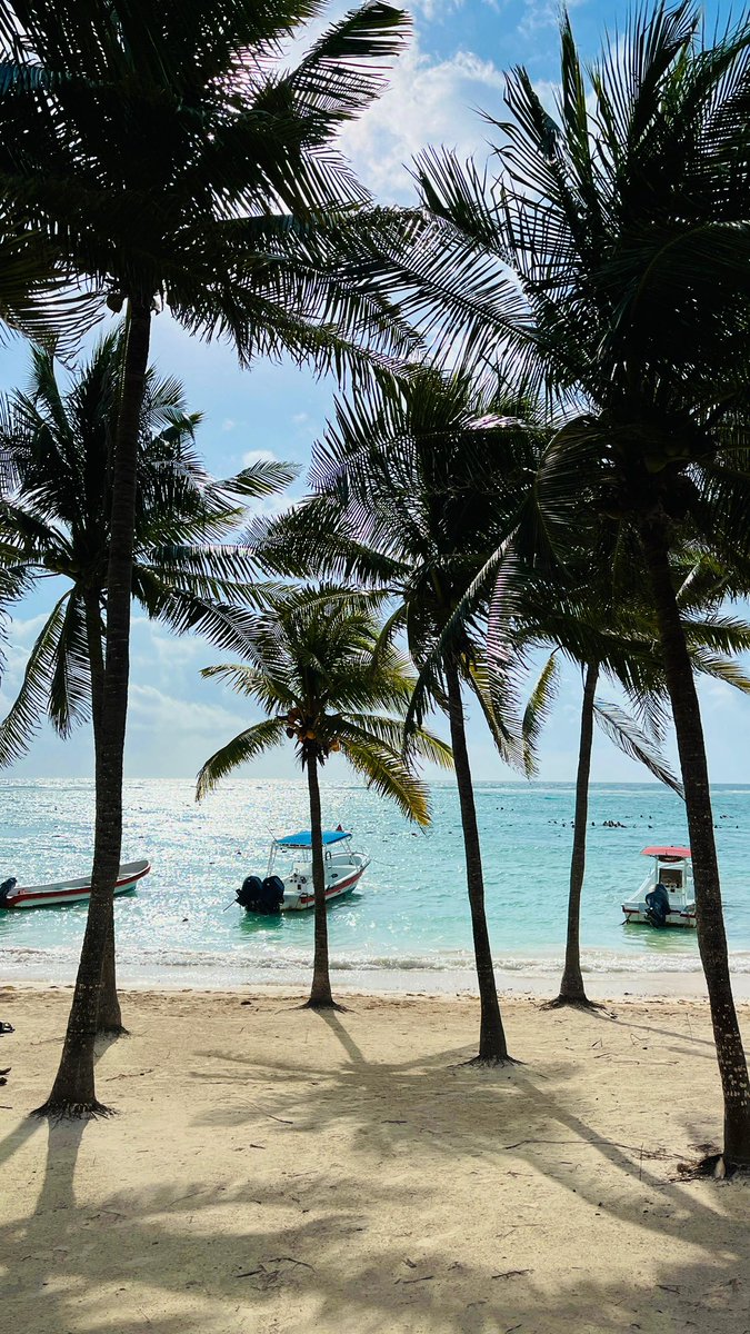 🌶️🌍🇲🇽T U L U M 🇲🇽🌏🌶️

Este domingo nuestra <a href="/bterry_13/">Blanca Terry</a> nos lleva a un auténtico paraíso mexicano 🗺️ 

Aventura, cultura y alma andaluza en Tulum 🏝️☀️🌍 

Os esperamos el domingo a las 21.35 ⏰ en <a href="/canalsur/">CanalSur</a> 📺

#tulum #mexico #viajar #viaje #viajes #andalucesporelmundo #canalsur
