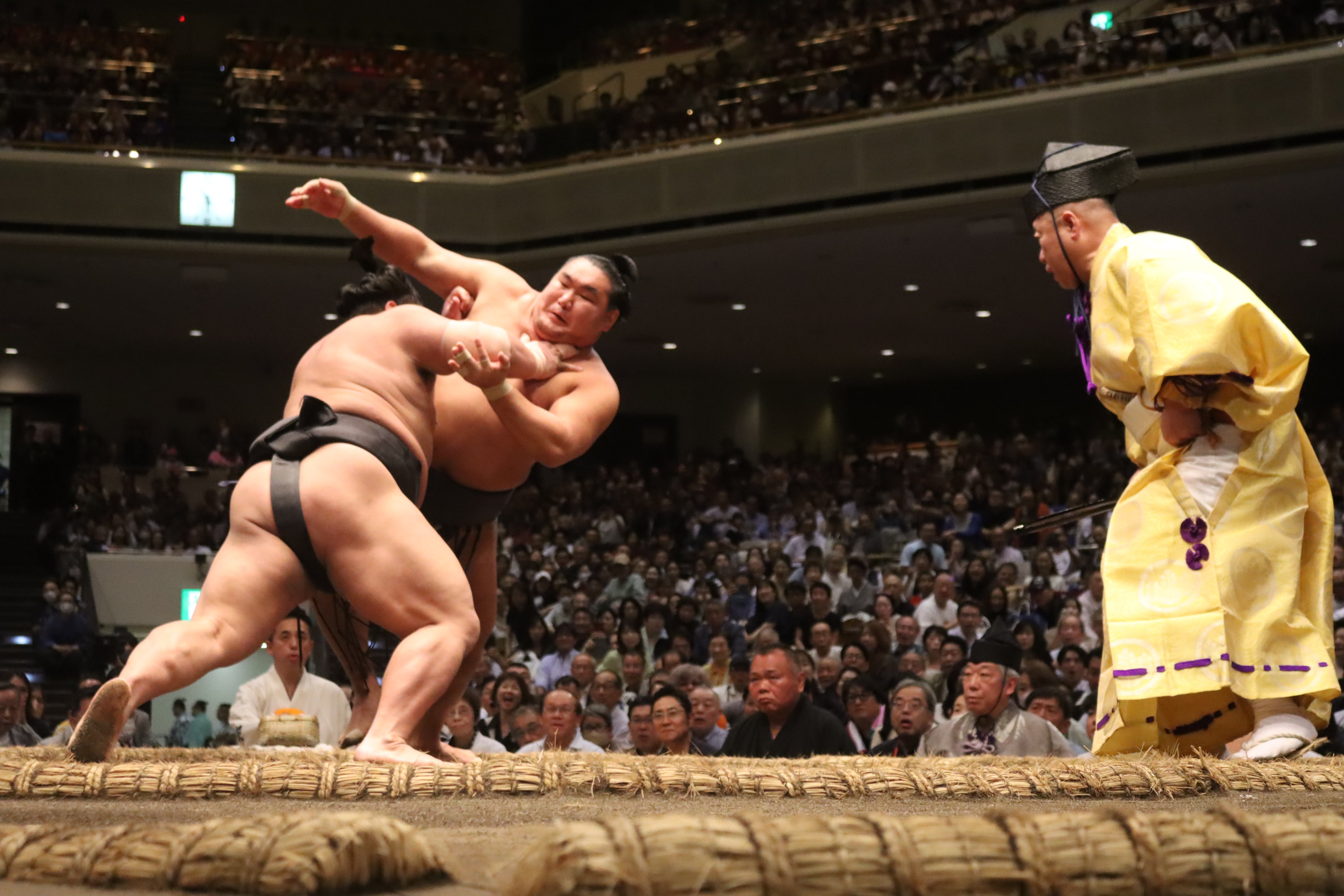 油絵　相撲　SUMO ヴィンテージ 相撲力士/SUMO Wrestler (ed:1/200)」 by TSUNE｜Artmeter
