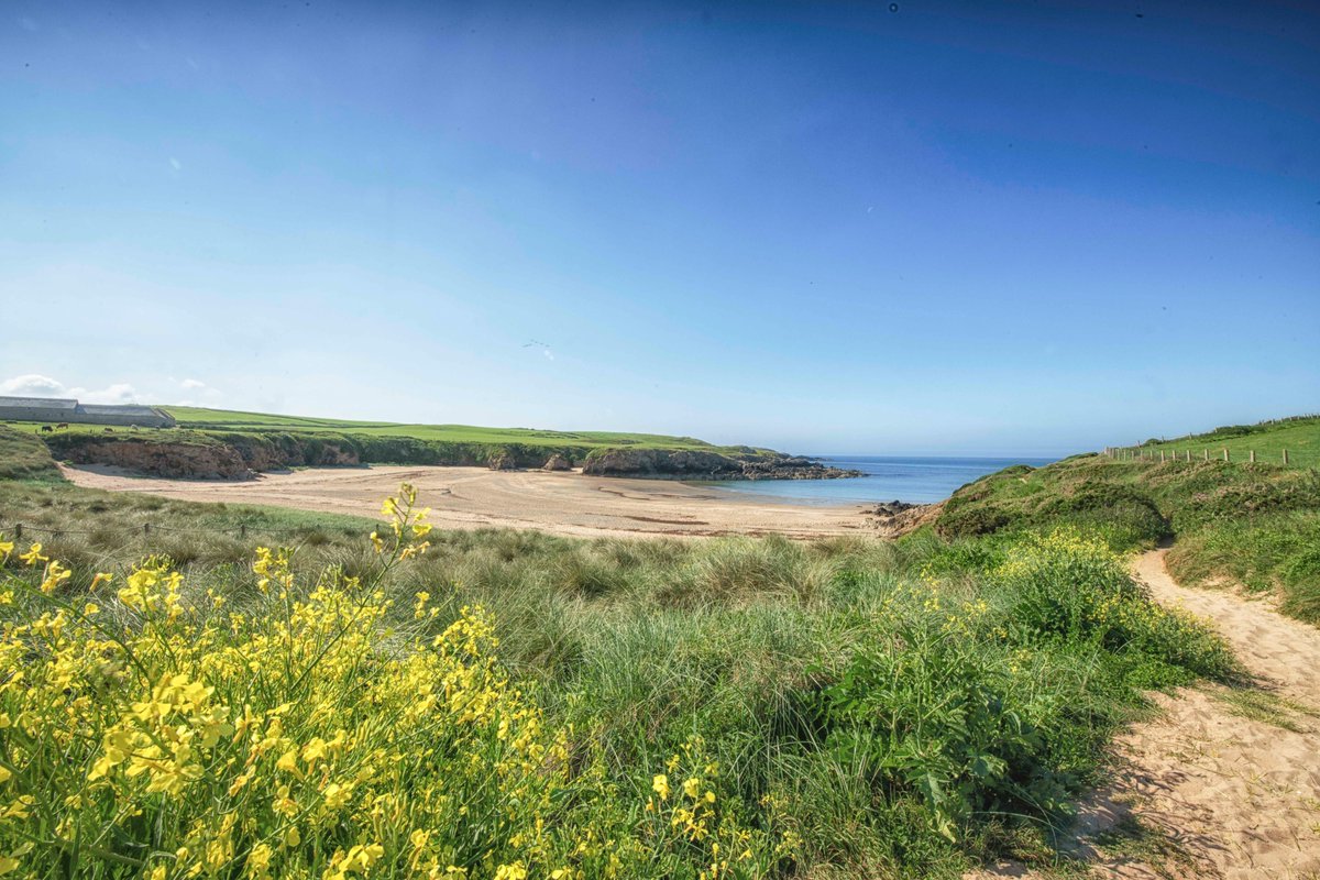 Phil Taylor (@angleseyboy) on Twitter photo Porth Trecastell in this mornings warm spring sunshine on #Anglesey
<a href="/DerekTheWeather/">Derek Brockway - weatherman</a> <a href="/Ruth_ITV/">Ruth_TV</a> <a href="/itvweather/">ITV Weather</a> <a href="/bbcweather/">BBC Weather</a> <a href="/ItsYourWales/">It's Your Wales</a> <a href="/WalesCoastUK/">Wales Coast Path UK</a> <a href="/WalesCoastPath/">Llwybr Arfordir Cymru / Wales Coast Path</a> <a href="/S4Ctywydd/">S4C Tywydd</a> Porth Trecastell in this mornings warm spring sunshine on #Anglesey
<a href="/DerekTheWeather/">Derek Brockway - weatherman</a> <a href="/Ruth_ITV/">Ruth_TV</a> <a href="/itvweather/">ITV Weather</a> <a href="/bbcweather/">BBC Weather</a> <a href="/ItsYourWales/">It's Your Wales</a> <a href="/WalesCoastUK/">Wales Coast Path UK</a> <a href="/WalesCoastPath/">Llwybr Arfordir Cymru / Wales Coast Path</a> <a href="/S4Ctywydd/">S4C Tywydd</a>