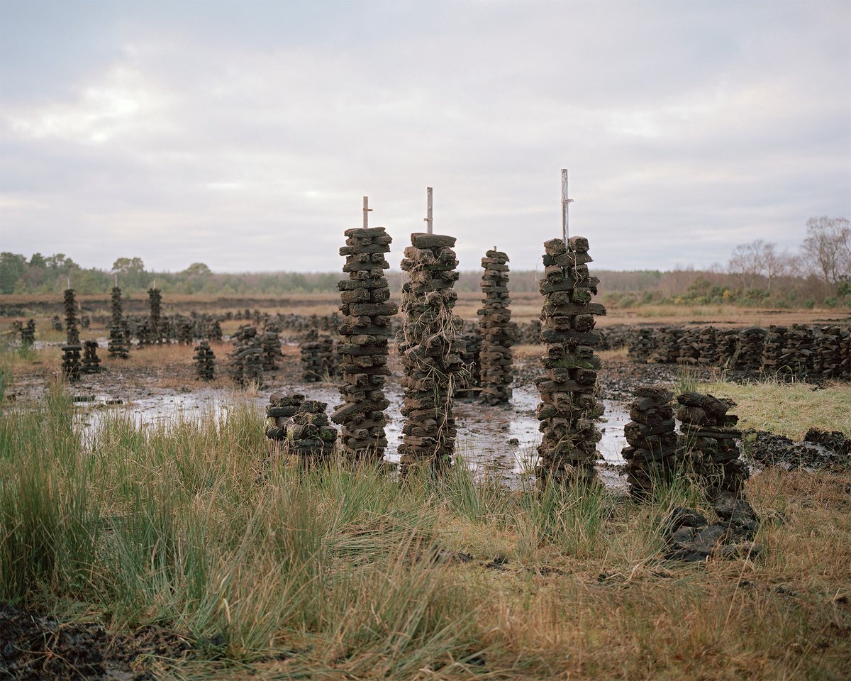 peatlandsLIFEIP's tweet image. 🌿 For our latest #Peatlands & #Art article, we interviewed photographer Shane Hynan. His work from the series ‘Beneath | Beofhód’ is currently exhibited in #EskerArts as part of the #BogSkin Exhibition. Read the interview: peatlandsandpeople.ie/news/peatlands…