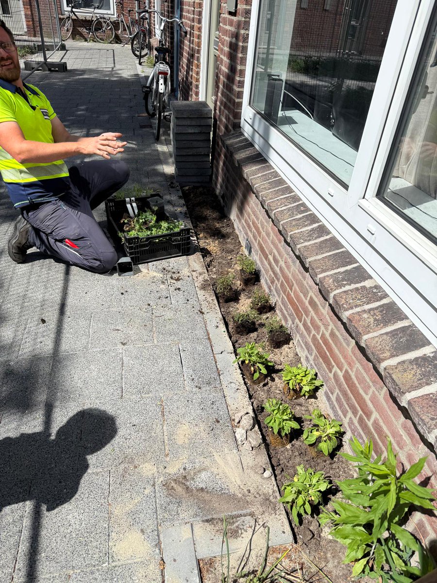 UPSURGE (@upsurge_h2020) on Twitter photo There are 14 new #UPSURGE facade gardens 💚installed in Linie-Zuid in close collaboration with the <a href="/breda/">Gemeente Breda</a> and a group of dedicated residents. Even the youngest members of the community 🧑🌾 joined in to lend a hand. Great job! 👏 There are 14 new #UPSURGE facade gardens 💚installed in Linie-Zuid in close collaboration with the <a href="/breda/">Gemeente Breda</a> and a group of dedicated residents. Even the youngest members of the community 🧑🌾 joined in to lend a hand. Great job! 👏