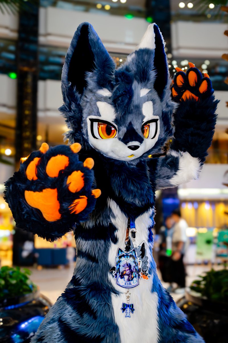 🐾🐾🐾🐾🐾
📷：<a href="/AnQi1010/">安琦ChiiAn</a> 
 #PawDay