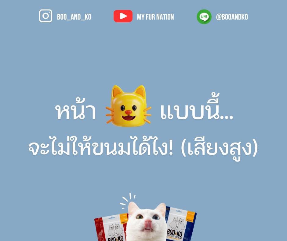 BOO&KO ชาบูกับชาโคลเองฮับ tweet media