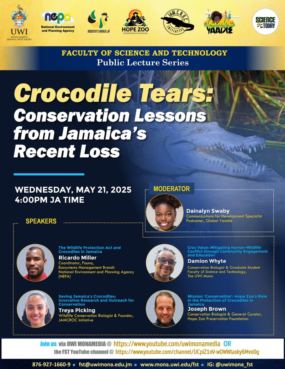 RoostersWorldja's tweet photo. There was public outrage with the recent loss of several Jamaican crocodiles at the Greater Portmore Sewage plant.

 Join us today, 21 May 2025 at 4 pm where experts will talk about their experience in crocodile conservation in Jamaica. 

Please share the ad , join us online and ask your questions.

Follow @Roostersworldja to learn more about nature.