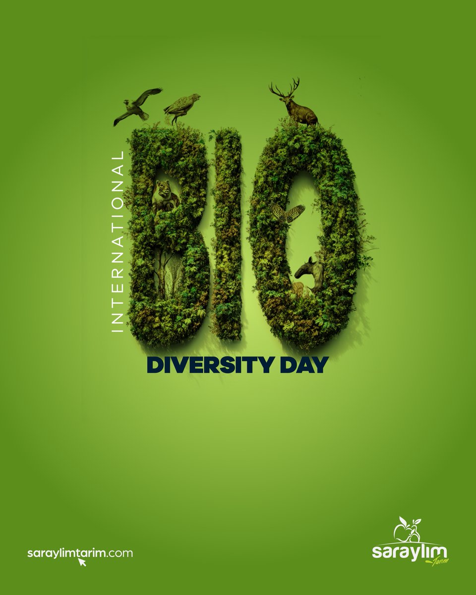 saraylimtarim's tweet photo. Uluslararası Biyolojik Çeşitlilik Günü'nde yaşamın her rengini ve doğanın mucizelerini kutluyoruz.

On International Biodiversity Day, we celebrate every color of life and the miracles of nature.

#SaraylımTarım #SürdürülebilirTarım #uluslararasıbiyolojikçeşitlilikgünü https://t.co/96wFAUNZrh