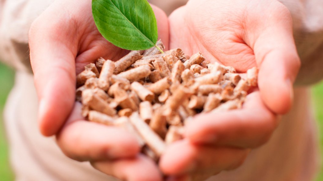 Fundación Cema tweet media