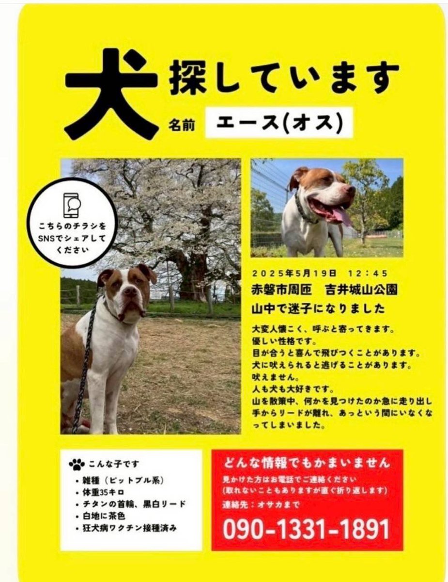 ucouco114's tweet photo. https://t.co/fd2DFBSIg4
