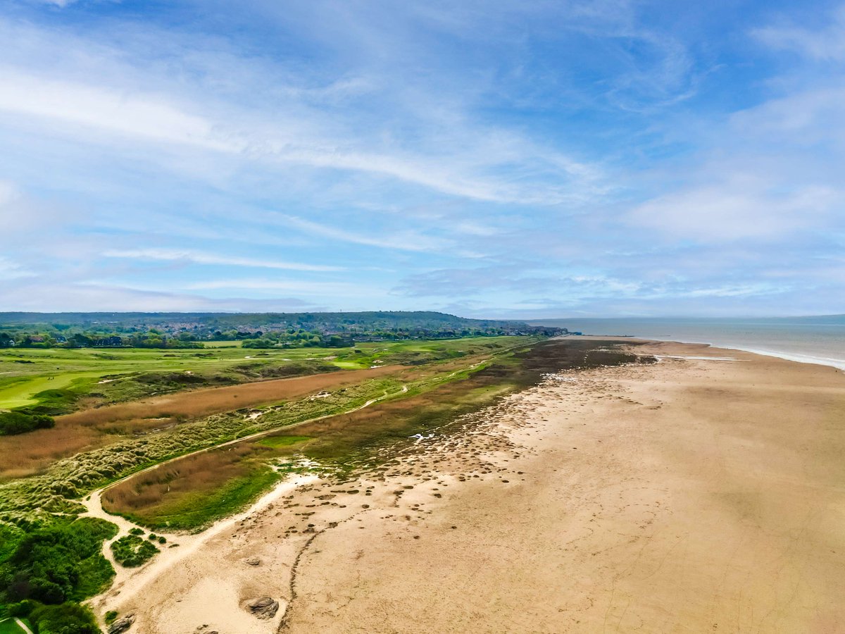 Blueoak Estates tweet media